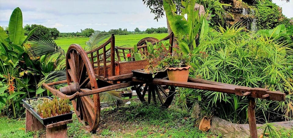 Cultural immersion: Thai cooking, rice farming, eco printing - Key Things You’ll Really Do (Not Just See)