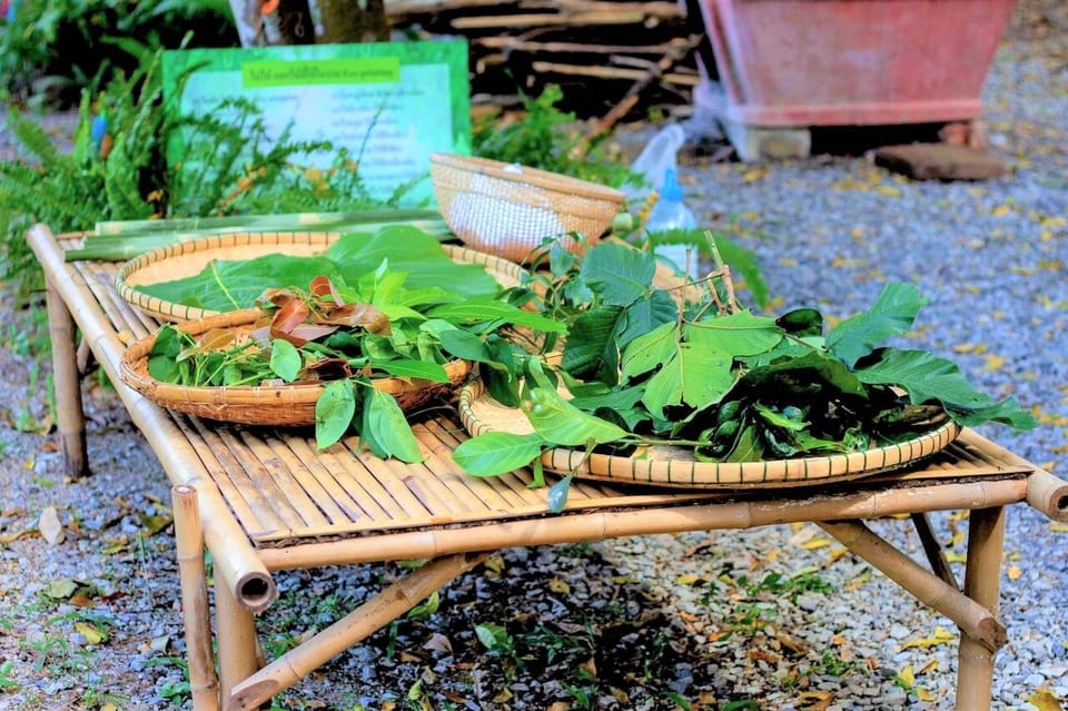 Cultural immersion: Thai cooking, rice farming, eco printing - Thai Culture Day in Central Thailand: How the Schedule Feels