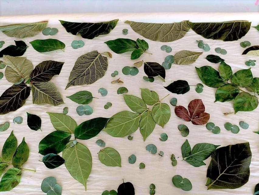 Cultural immersion: Thai cooking, rice farming, eco printing - Fruit Orchard Eco-Printing: Leaves Become Your Fabric Souvenir