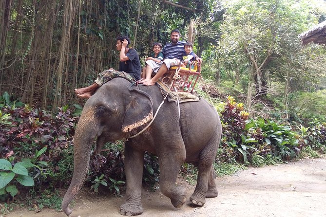 Customized Phuket Tours with Private Driver - Practical tips to get the best day out of your driver