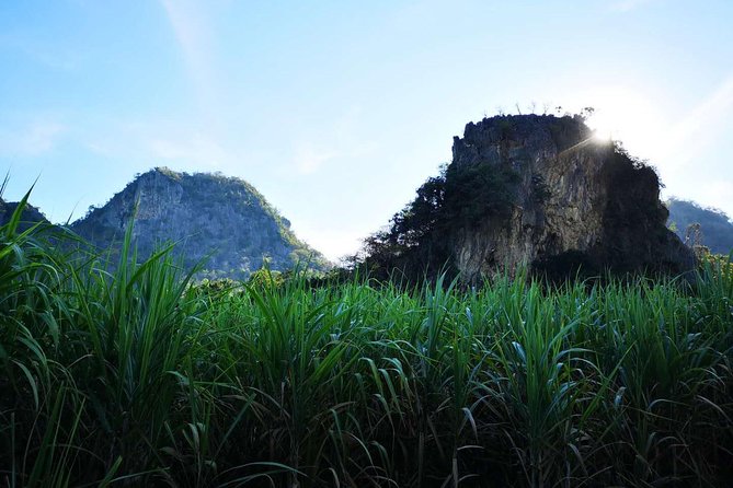 Cycling in rural Kanchanaburi area - Cost, group size, and why this feels like local value