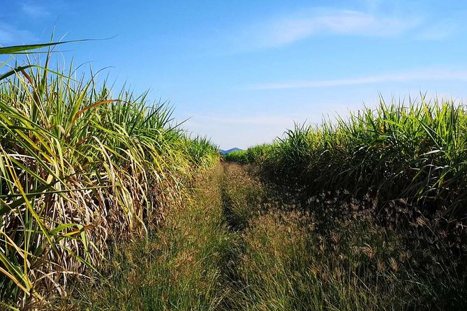 Cycling in rural Kanchanaburi area - FAQ