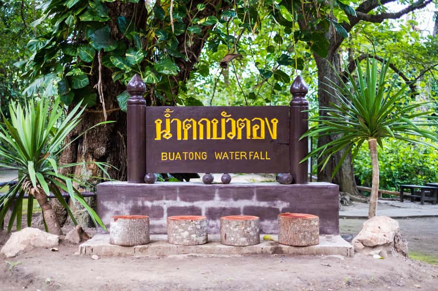 Day Tour in Chiang Mai I Sticky Waterfall & Land of Angels - Lunch and Time Management: How to Make the 9 Hours Feel Right