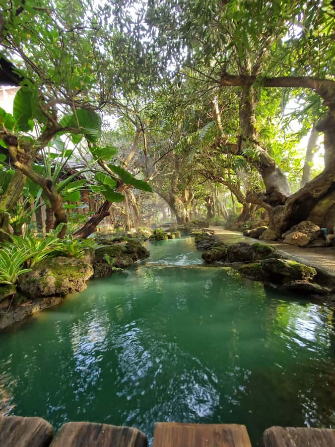 Day Tour in Chiang Mai I Sticky Waterfall & Land of Angels - Bua Thong Sticky Waterfall: The Fun Part of Climbing Limestone Steps
