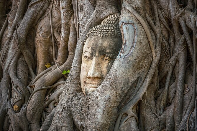 Definitive tour of 4 ancient capitals Ayutthaya ruins in Japanese - Pickup, meeting points, and the simple way to not miss the bus