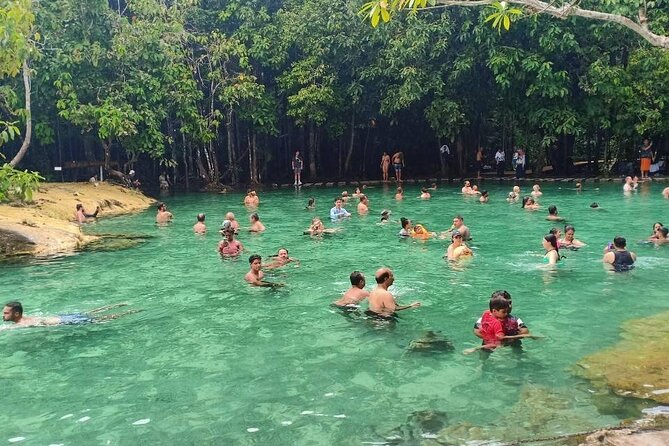 Discover Krabi - Emerald Pool, Hot Springs & Tiger Cave Temple - Emerald Pool (Sa Morakot): swim after a rainforest walk