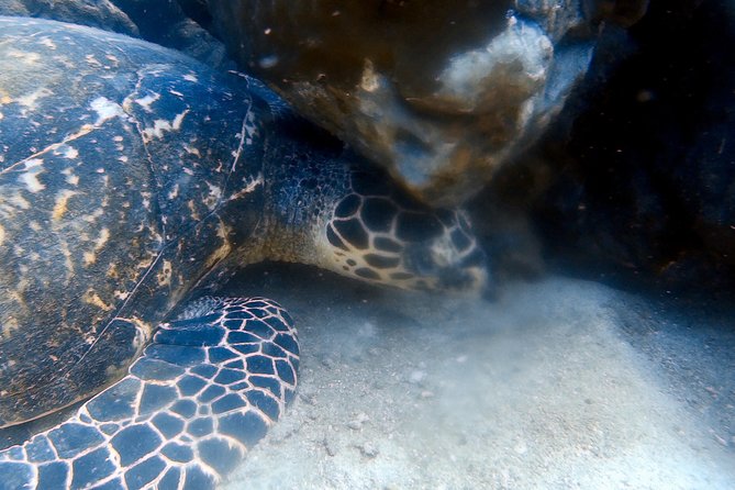 Discover Scuba Diving, try dive for beginners ( Start at Ko Kut) - Lunch and downtime: getting back to yourself on Ko Kut