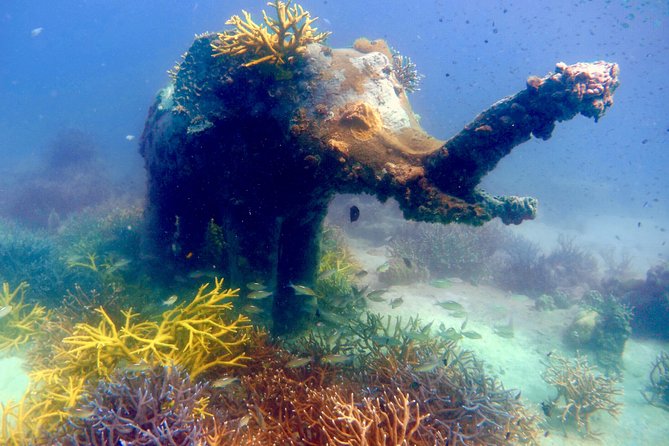 Discover Scuba Diving, try dive for beginners ( Start at Ko Kut) - Bang Bao Beach: where your first water practice makes sense