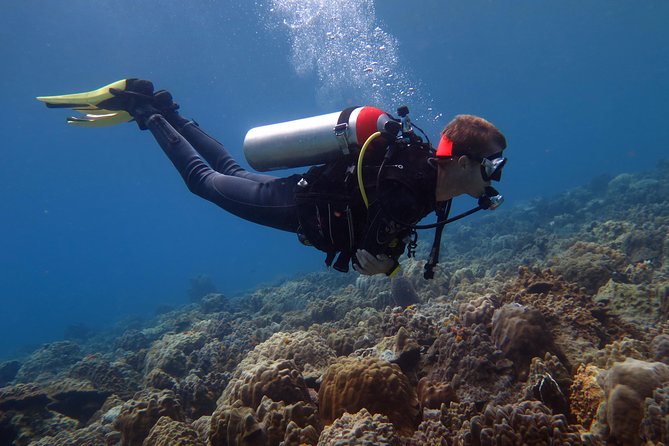 Discover Scuba diving, try diving for beginners (starts from Koh Chang) - Key things you’ll notice fast
