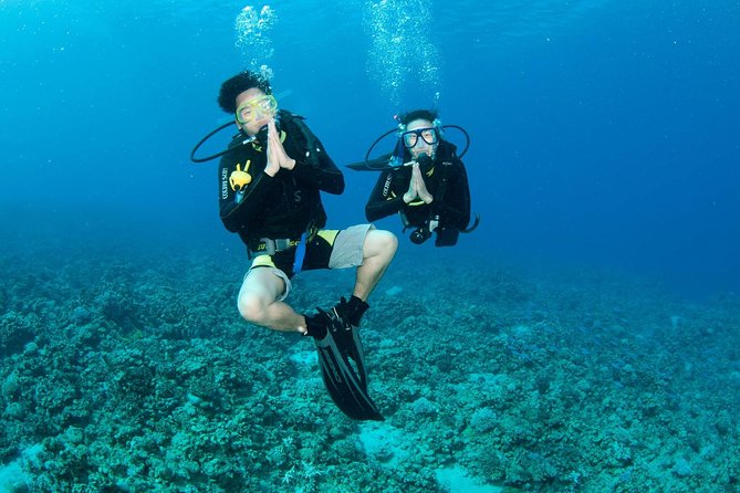 Discover Scuba diving, try diving for beginners (starts from Koh Chang) - Two controlled underwater sessions off Koh Chang (with a 12 m limit)