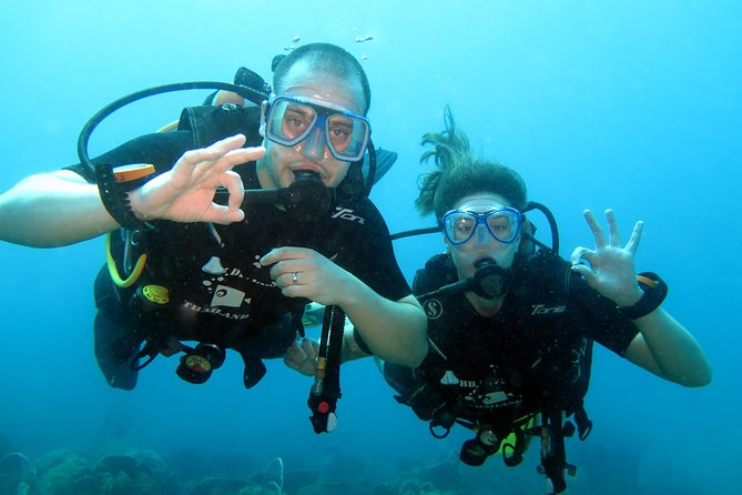Discover Scuba diving, try diving for beginners (starts from Koh Chang) - Koh Chang sites vs Koh Rang national park: the 400 baht fee question