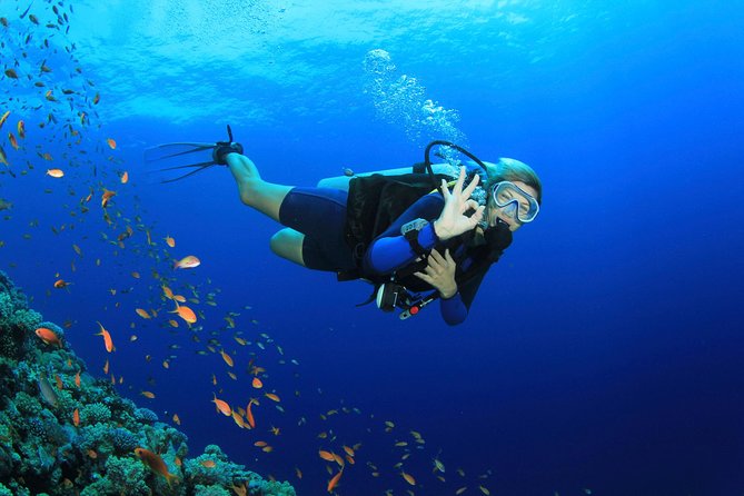 Discover Scuba diving with 2 dives on Koh Tao - What you’re really signing up for