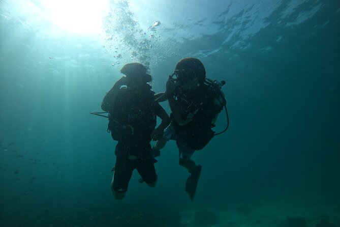 Discover SCUBA Diving - Taman Negara Tarutao waters: coral reefs and marine life around Ko Lipe