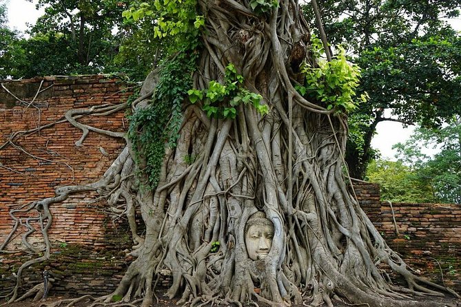 Discover UNESCO World Heritage Sites - Ayutthaya to Khao Yai National Park - Pickup, early start, and what you’ll actually do all morning