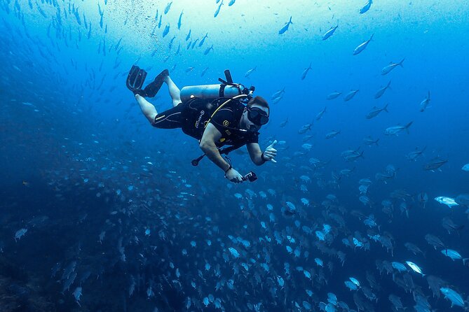 Diving Tour for Certified Divers: Sail Rock or Koh Tao - Booking tips that can save you headaches