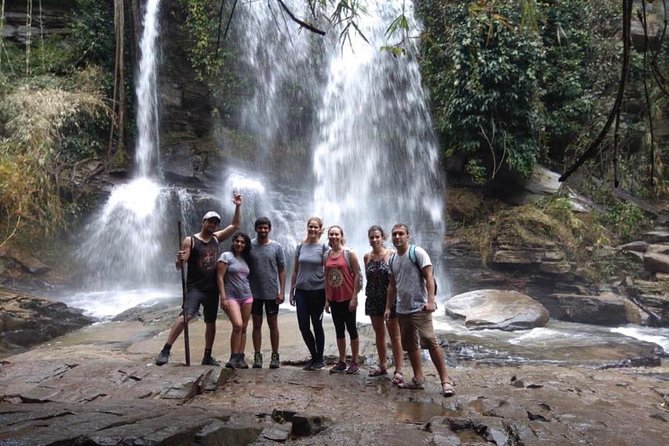 Doi Inthanon Day Trip:Twin Pagodas,Soft Hiking,Coffee Plantation - Kew Mae Pan soft trek: what that trail really asks of you