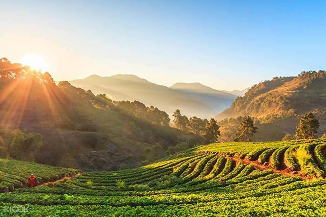 Doi Inthanon Discovery Tour: Waterfalls, Villages & Highest Peak - Pacing, Group Size, and How You’ll Feel During the Day