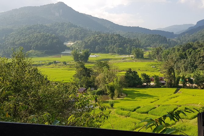 Doi inthanon National Park + 2Hour Fantastic Trekking with Lunch - Stop 5: Karen village with weaving and organic coffee