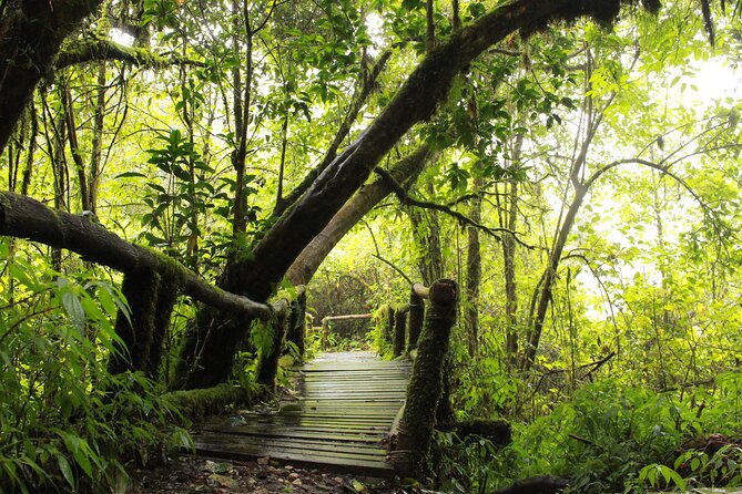 Doi Inthanon National park and 2 hours hiking with private tour - Doi Inthanon at 8,415 ft: reaching Thailand’s high point