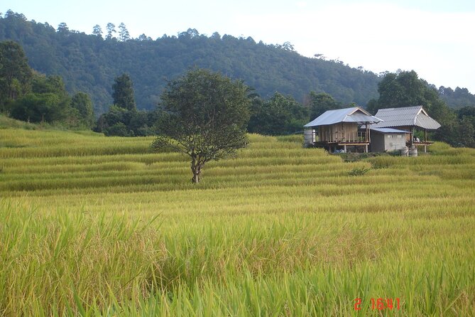 Doi Inthanon National park and 2 hours hiking with private tour - Starting with Thailand market life and hill-tribe culture