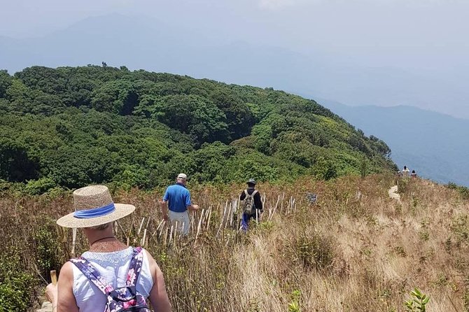 Doi Inthanon National Park Day Trip - Pickup, private transport, and timing in a 7-hour window