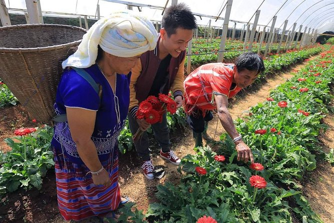 Doi Inthanon National Park Full Day Tour from Chiang Mai - Pace, timing, and what to pack for an 8- to 9-hour mountain day