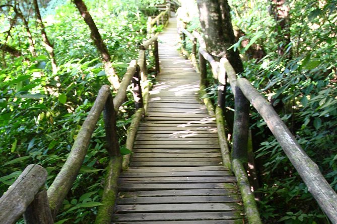 Doi Inthanon National Park including Lunch from Chiang Mai - Pickup at 8:30 and how to plan your day
