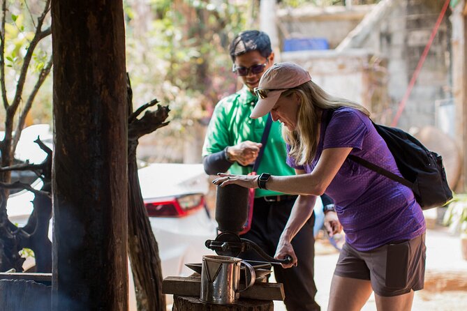 Doi Inthanon National Park Private Tour – Full Day - Timing, Comfort, and Packing Tips That Actually Help