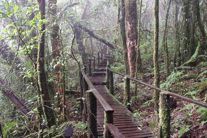 Doi Inthanon National Park - Thailand's Highest Peak - Stop 1: Doi Inthanon National Park and the First Walks