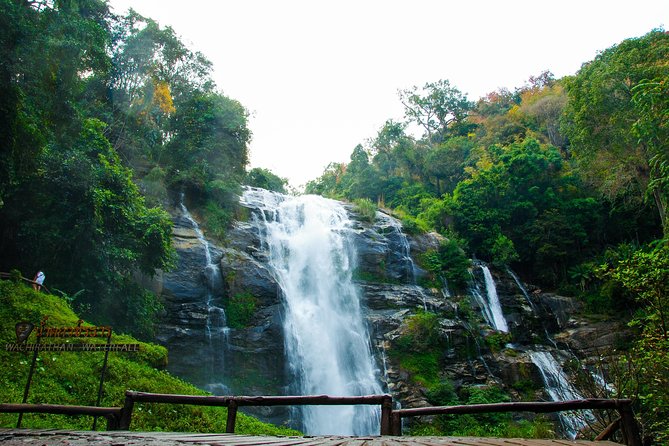 Doi Inthanon National Park with Nature Trail Trekking 1-Day Tour - Lunch timing, meal reality, and how to protect your stomach