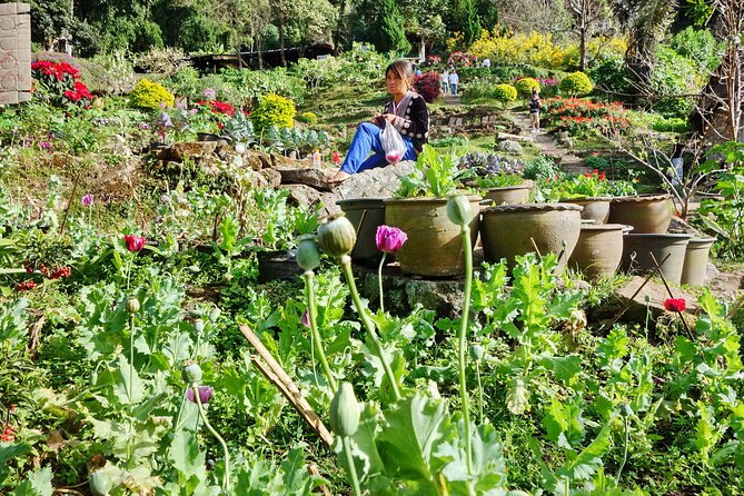 Doi Suthep and Hmong Hilltribe Half Day Tour in Chiang Mai - The Pace, Timing, and the Small-Group Factor