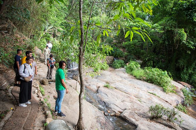Doi Suthep and Wat Pha Lat Sunrise Private Tour – Half Day - Wat Pha Lat: your calmer, jungle-side temple break