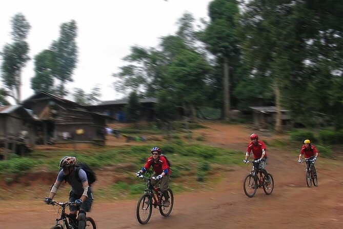 Doi Suthep National Park To Chiang Mai Beginner Downhill Mountain Biking - Training on the Move: How the Guides Help You Control the Descent