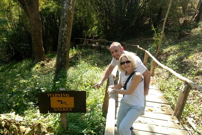Doi Suthep Temple and Bau Thong Waterfalls Private Tour - Lunch at the orchid and butterfly farm: a break that doesn’t feel like filler