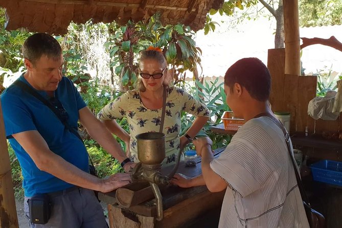 Doi Suthep Tour: Trekking at Doi Inthanon National Park with Lunch - Private Chiang Mai Mountain Day: How the Route Feels From 8:00am