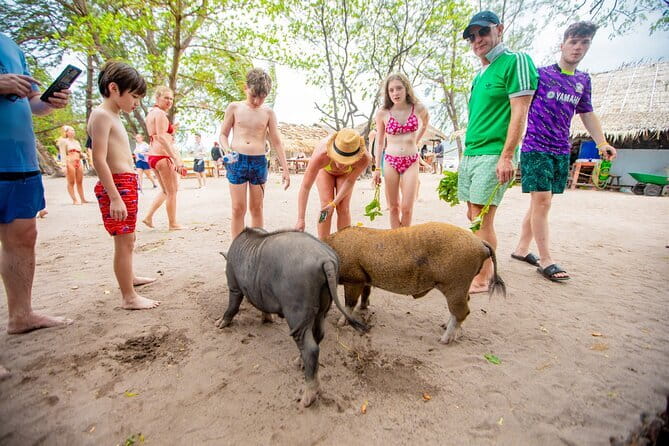 Dolphin Watching Tan and Pig Island Tour from Koh Samui - Koh Tan (Tan Island) snorkeling: clear water, limited time, included gear