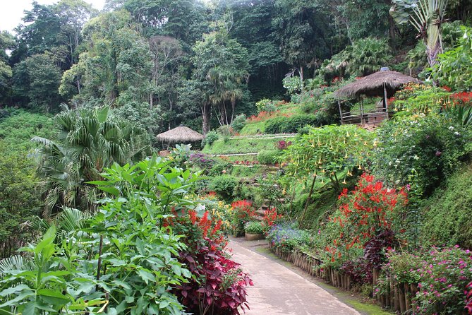DON'T miss It ! Doi suthep temple+ Hmong village - The guide experience: timing can make or break the day