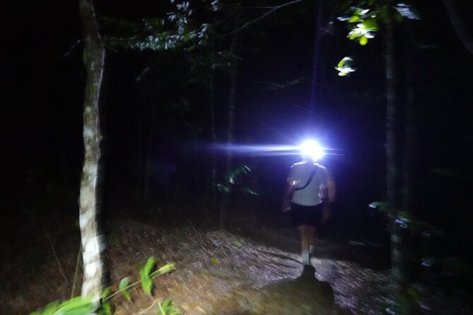 Dragon Crest Sunrise Hike and Klong Root Kayaking Private Tour - Practical tips to make your sunrise hike day smoother
