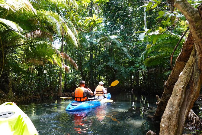 Dragon Crest Sunrise Hike and Klong Root Kayaking Private Tour - Should you book this Dragon Crest sunrise hike and Klong Root kayaking?