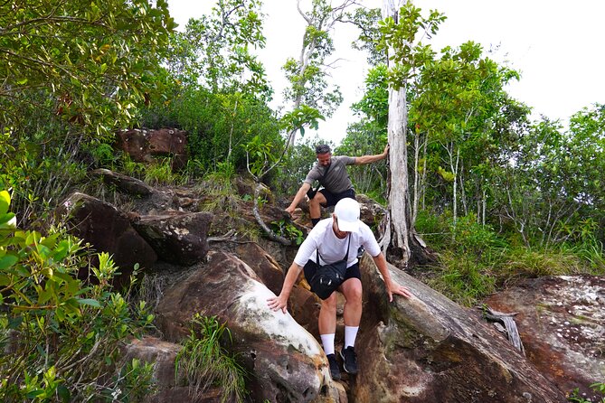 Dragon Crest Sunrise Hike and Klong Root Kayaking Private Tour - The 4:00 am start and your transfer time (aka: getting there without stress)