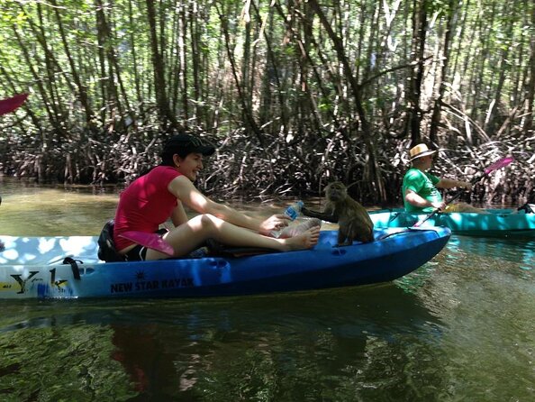 Early bird kayak adventure at AO Thalane - 7:30 a.m. paddling in Ao Thalane: quiet mangroves before the day starts
