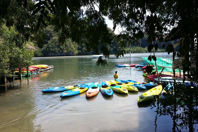 Early bird kayak adventure at AO Thalane - Should you book this early-bird kayak at Ao Thalane?