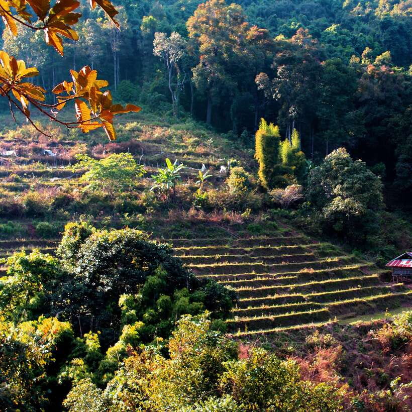 Eco-Friendly: Doi Inthanon & Pha Dok Siew Trekking Day Trip - Key highlights to look forward to