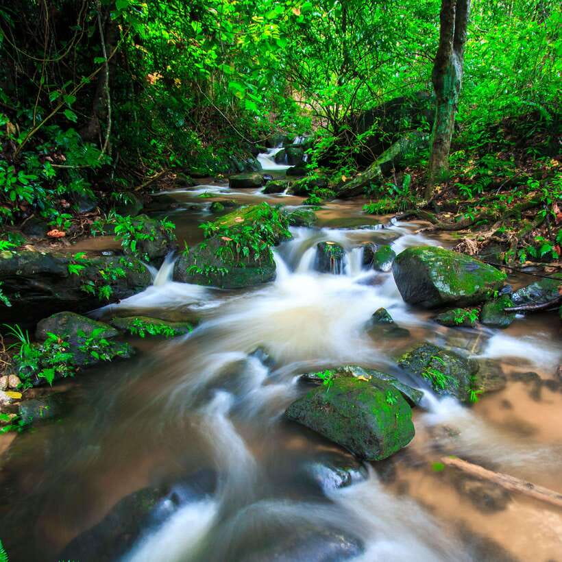 Eco-Friendly: Doi Inthanon & Pha Dok Siew Trekking Day Trip - How this Doi Inthanon trip fits a tight Chiang Mai schedule
