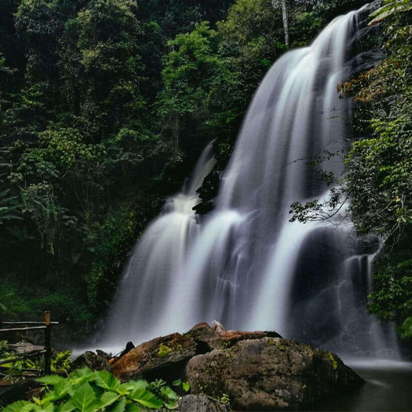 Eco-Friendly: Doi Inthanon & Pha Dok Siew Trekking Day Trip - The Pha Dok Sieo nature trail trek: what to expect from a 2-hour walk