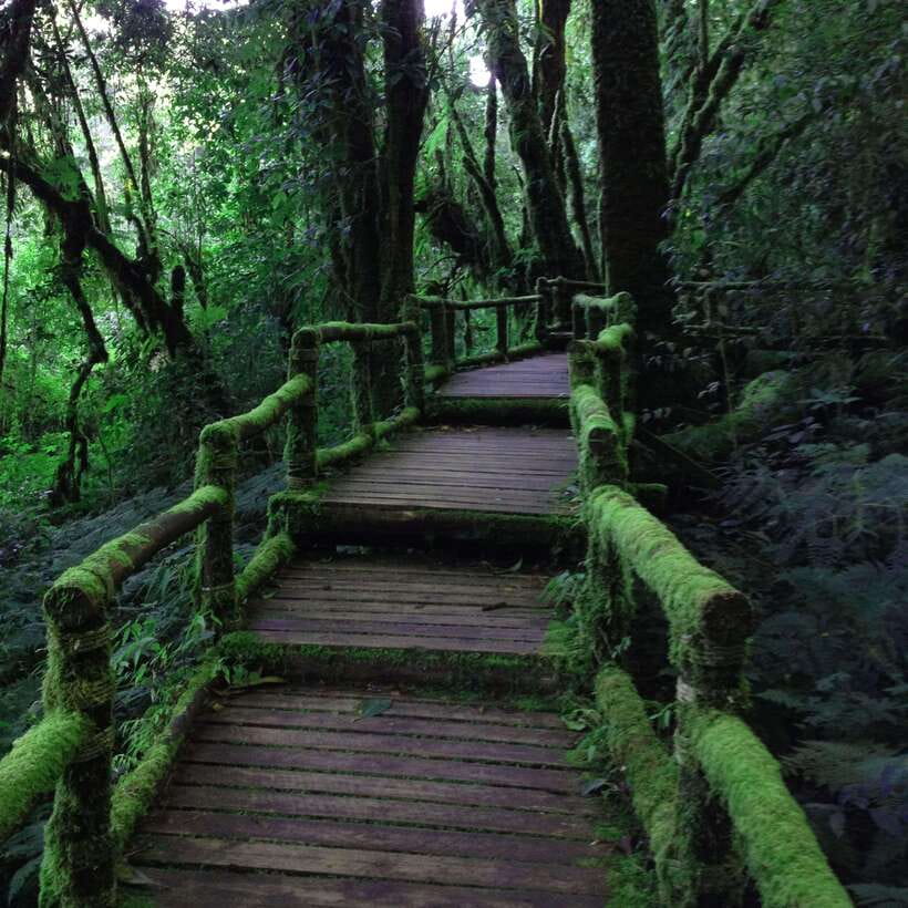 Eco-Friendly: Doi Inthanon & Pha Dok Siew Trekking Day Trip - Price and logistics: is $54 good value with park fees?