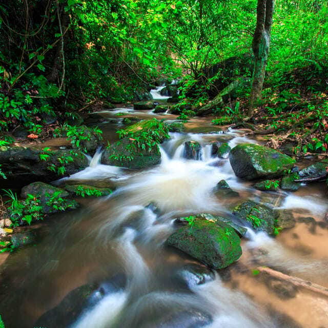 Eco-Friendly: Doi Inthanon & Pha Dok Siew Trekking Day Trip - What to pack for cooler peaks and wet trail moments