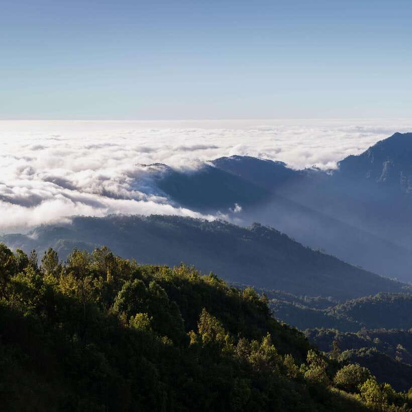 Eco-Friendly: Doi Inthanon & Pha Dok Siew Trekking Day Trip - Who this trek is for (and who should skip it)