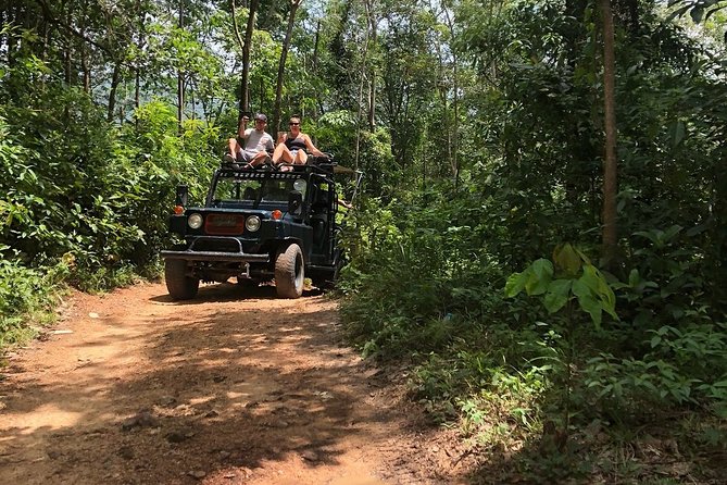 Eco Jungle Safari Tour around Koh Samui Including Lunch - Namuang Waterfall: swim time and the option to add speed