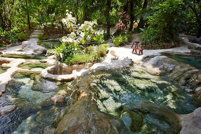 ECO Premium Jungle Hot Springs and Temple Tour - Emerald Pool and the Blue Lagoon Area: Jungle Walk Meets a Real Swim